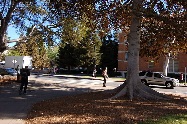 UCLA.Dickson.North.010