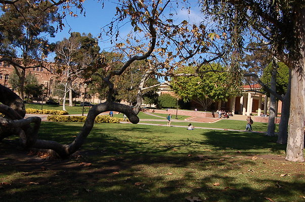 UCLA.Dickson.North.021