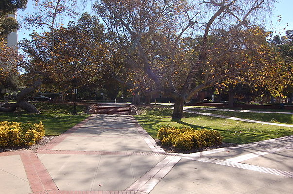 UCLA.Dickson.North.006