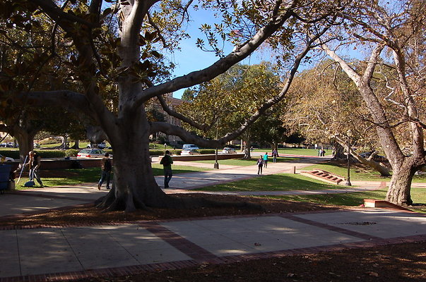 UCLA.Dickson.North.016