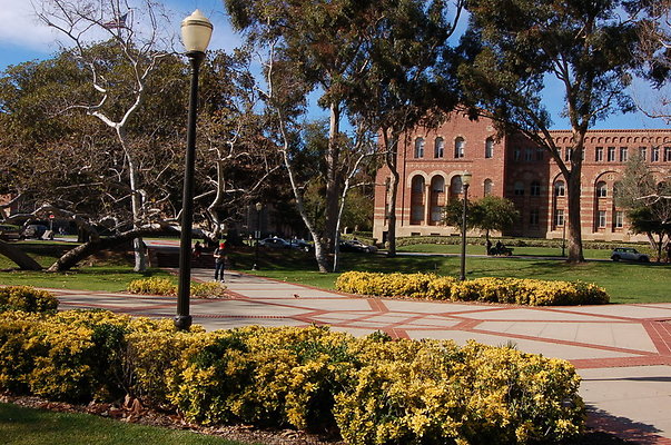 UCLA.Dickson.North.008