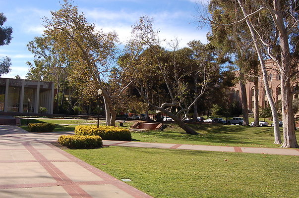UCLA.Dickson.South.006