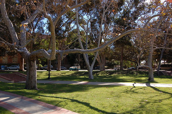 UCLA.Dickson.South.004