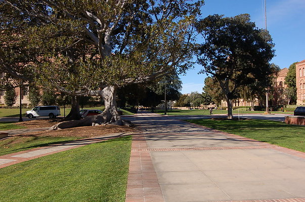 UCLA.Dickson.South.010
