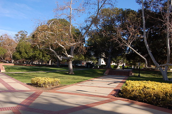 UCLA.Dickson.South.019