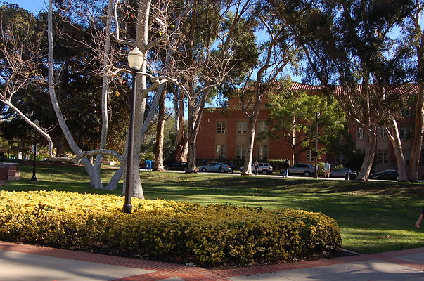 UCLA.Dickson.South.020