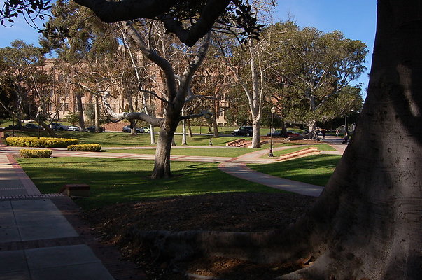 UCLA.Dickson.South.003