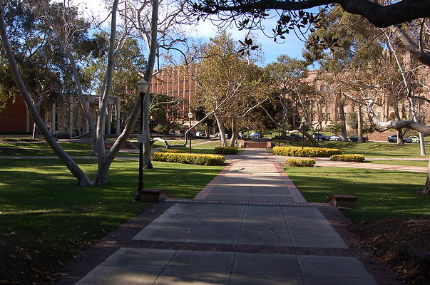 UCLA.Dickson.South.002