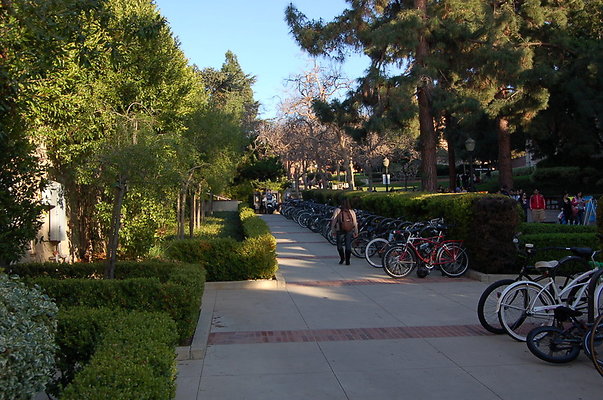 UCLA.Sac..Bld. Southside