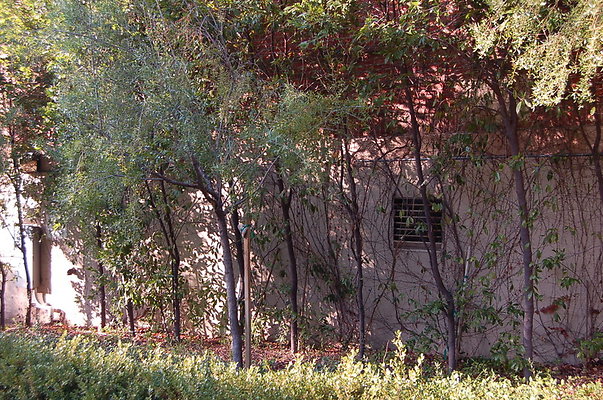 UCLA.Sac.Bld.009 UCLA.Sac.Bld.009