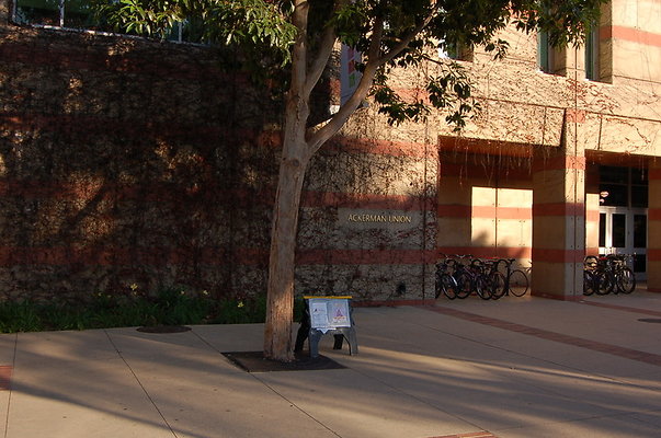 UCLA.Ackerman.Bld.Ext.004