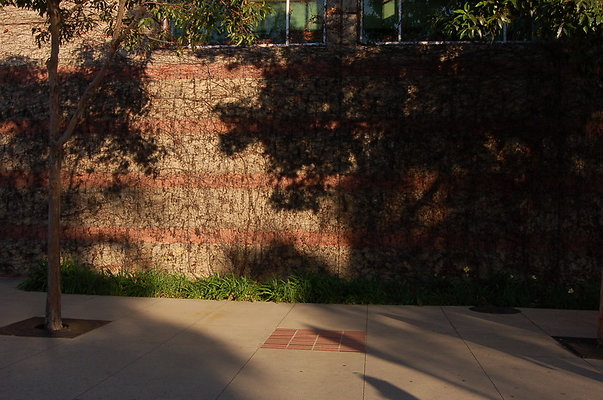 UCLA.Ackerman.Bld.Ext.003