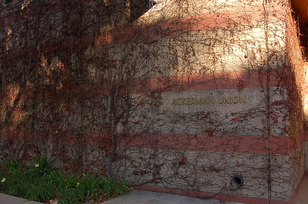 UCLA.Ackerman.Bld.Ext.005