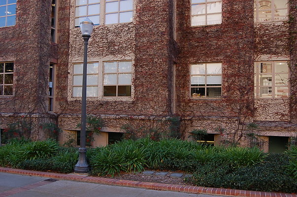 UCLA.Ashe.Bld.Ext.008