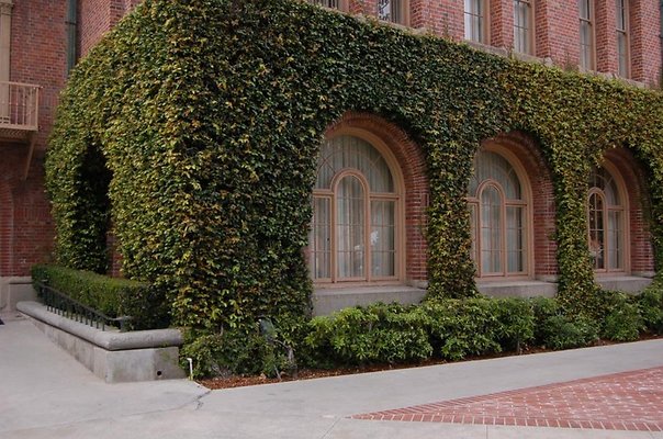 Bovard.Hall.USC.011