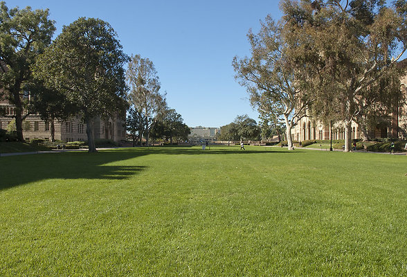 Dickson.Plaza.Grass.3 Dickson.Plaza.Grass.3