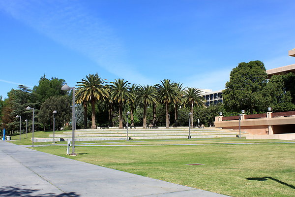 IMG 6716 0 IMG 6716 0