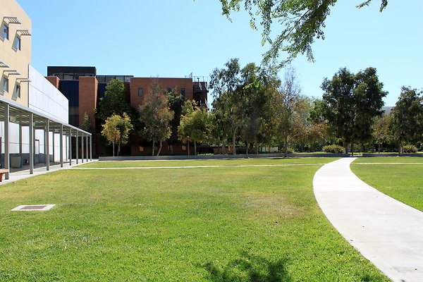 Manzanita.Lawn.004