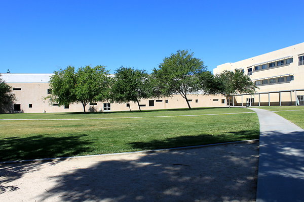Manzanita.Lawn.006