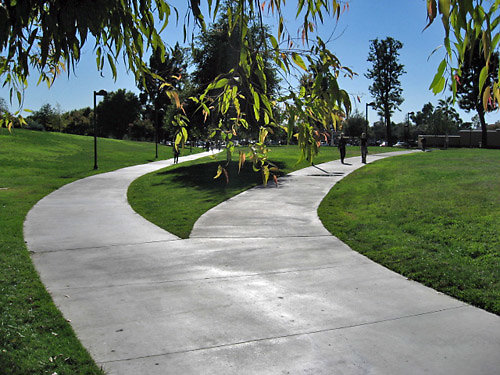 Manzanita.Lawn.010