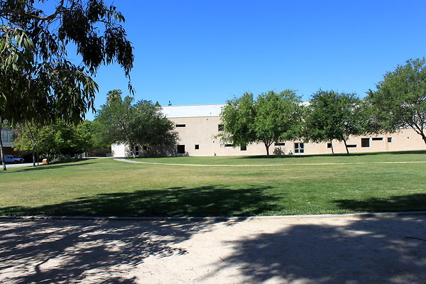 Manzanita.Lawn.005