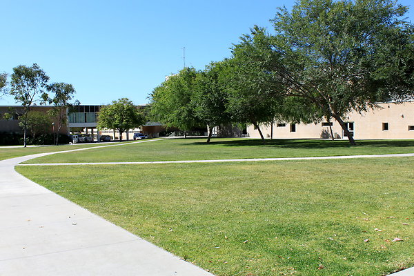 Manzanita.Lawn.008