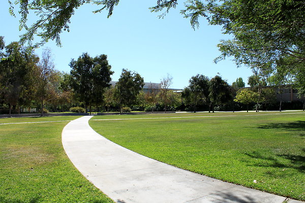 Manzanita.Lawn.003