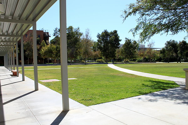 Manzanita.Lawn.002