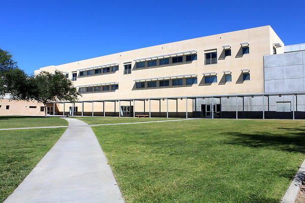 Manzanita.Lawn.007