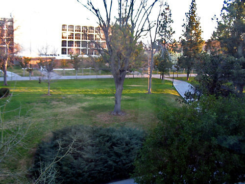 bayramian-lawn5