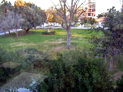 bayramian-lawn6