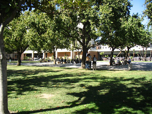 bayramian-lawn8