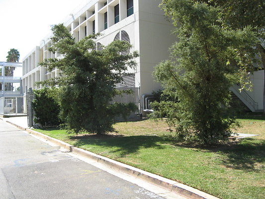 CSUN.Campus.106 CSUN.Campus.106