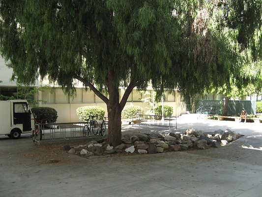 CSUN.Campus.062 CSUN.Campus.062