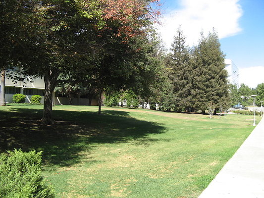 CSUN.Campus.055