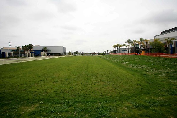 6 Grass Area 0526 6 Grass Area 0526