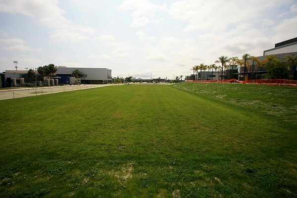 6 Grass Area 0594 6 Grass Area 0594