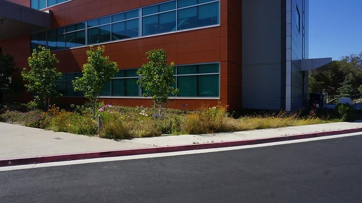 WLAC Math.Science.029