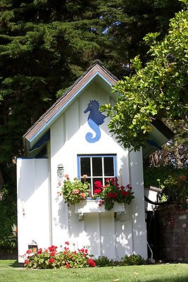 2459 shed
