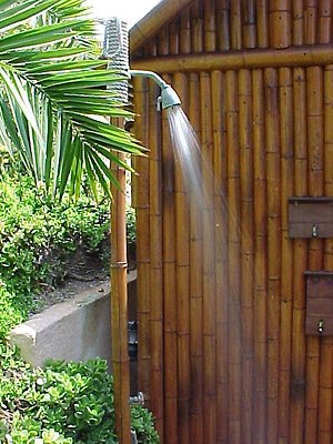 2459 shower4