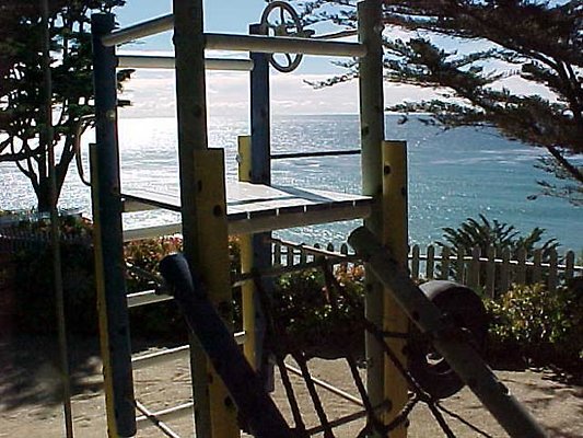 2459 playground