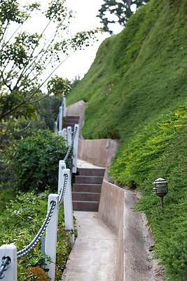 2459 path