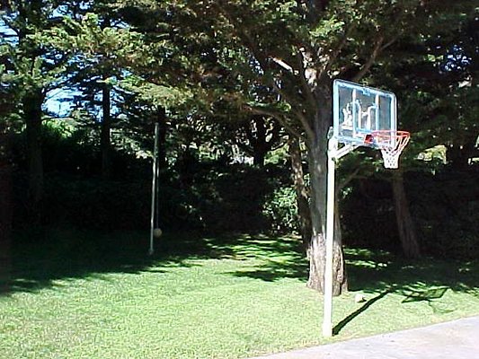 2459 basketball