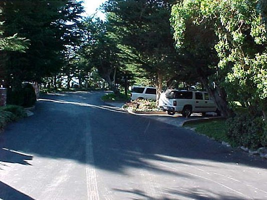 2459 street