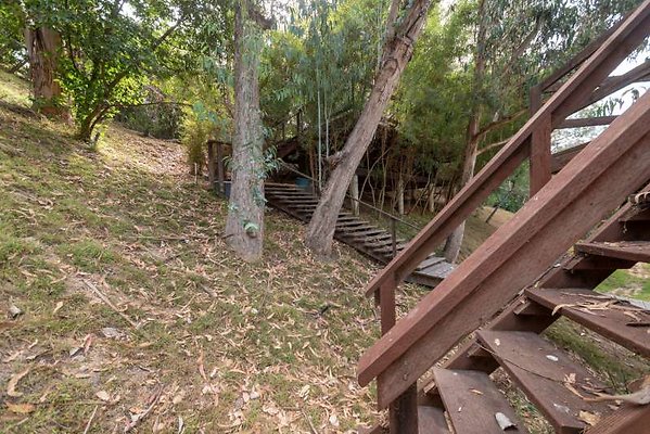 11729 treehouse2