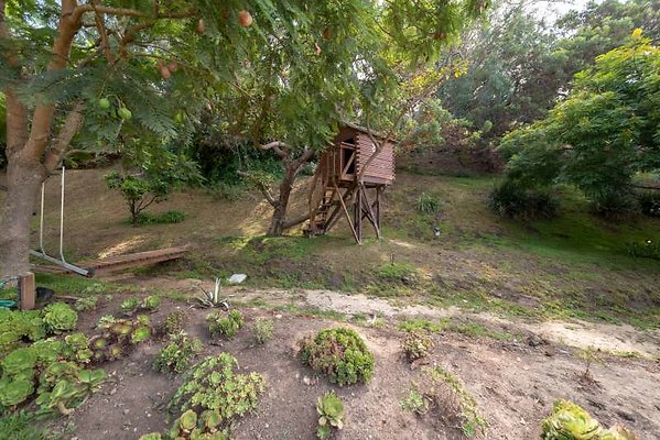 11729 treehouse3