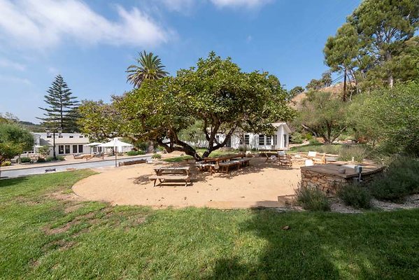 11729 garden4