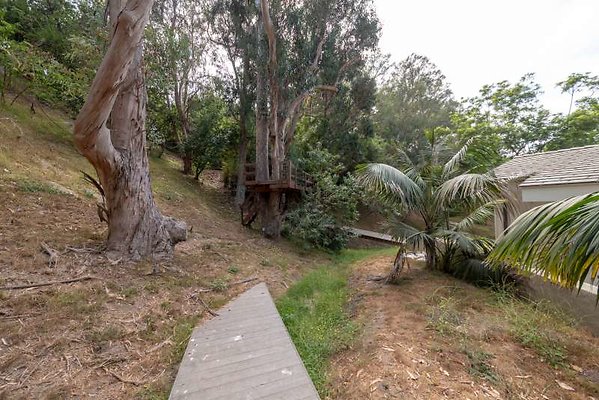 11729 grounds2