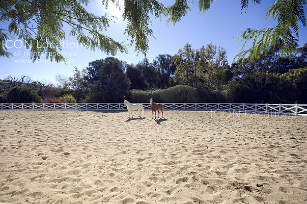 VILLA6415 052ICON - PHOTO: JEFF HIGGINBOTHAM All rights reserved. www.higg.com, Malibu Real Estate