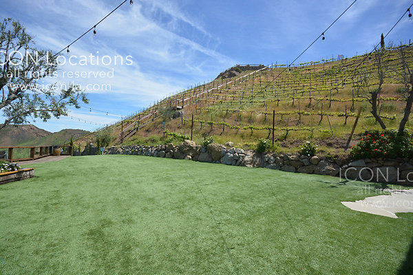 VILLA31424 074LRICON